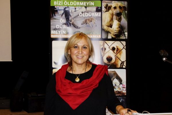 Sokak Hayvanları Sahipsiz Kalmadı