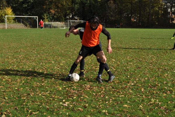 Dibin galibi Dersim 2