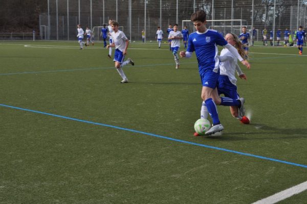 Süderelbe kayıplarda