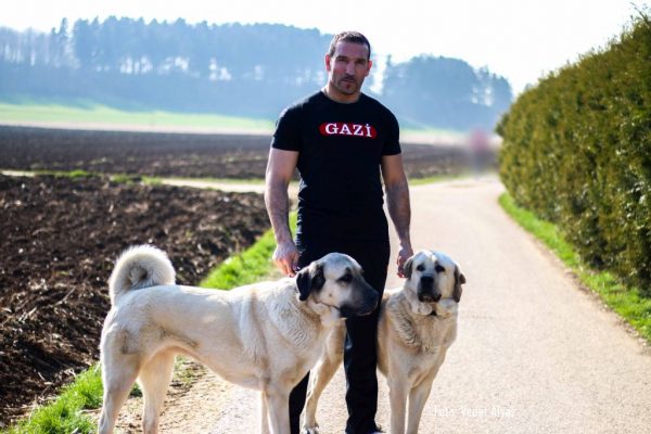 Fırat Arslan, İstanbul’da ringe çıkacak