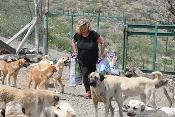 Sorgun Belediyesi Hayvan Barınağı Emsal Olmaya Başladı