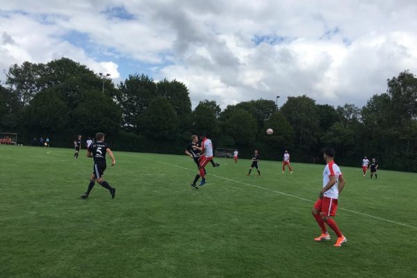 Eidelstedt kupada ”7” bitirdi