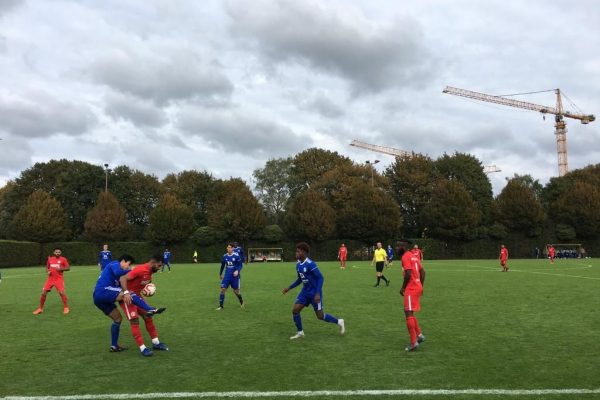 Aslan parçası Eidelstedt