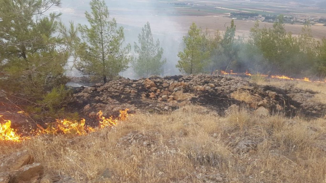 Gaziantep’te ormanlık alana yıldırım düşmesi sonucu çıkan yangın söndürüldü