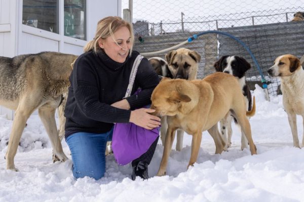 Hayvanların cezai ehliyeti yoktur ama insanların var!