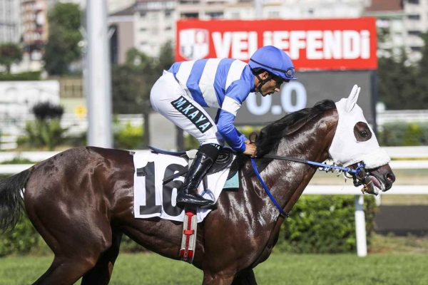 97. Gazi Koşusu’nu “Urfa Aslanı” kazandı