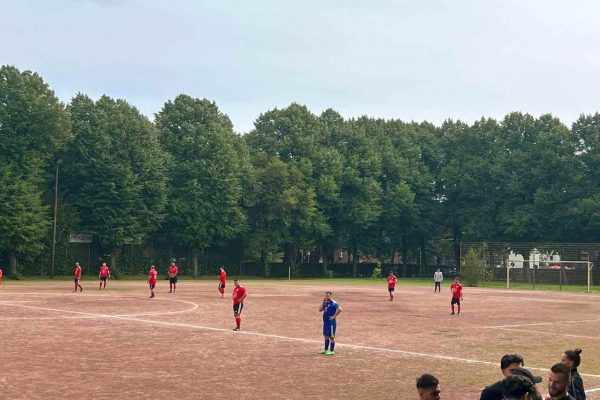 Şimşekler 6’da 6 yaptı