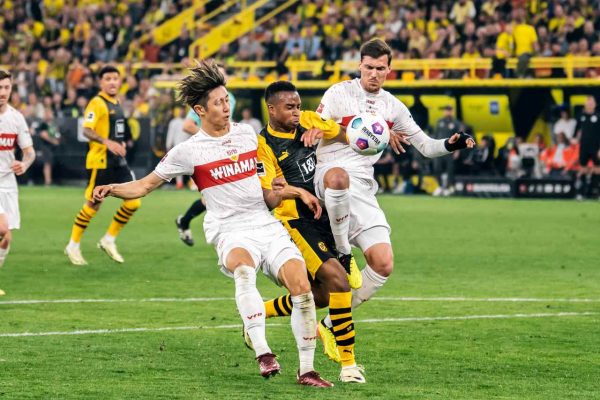 Mit großen Schritten Richtung Champions League