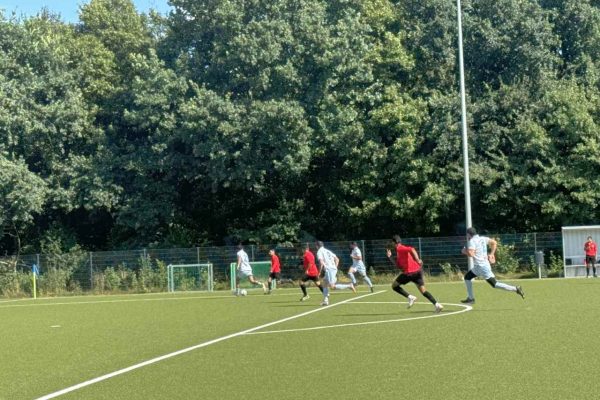 Şimşek II, kupada kaybetti