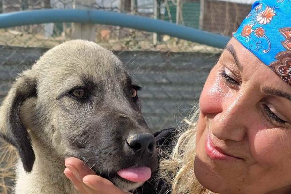 4 Ekim Dünya Hayvanları Koruma Günü