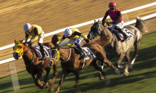 fubolexpress_2022_15494