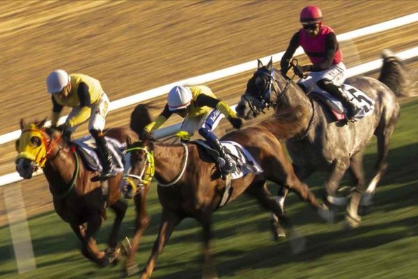 At yarışlarında Cumhuriyet ve Cumhurbaşkanlığı koşuları yapıldı