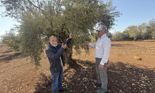 fubolexpress_2022_15702