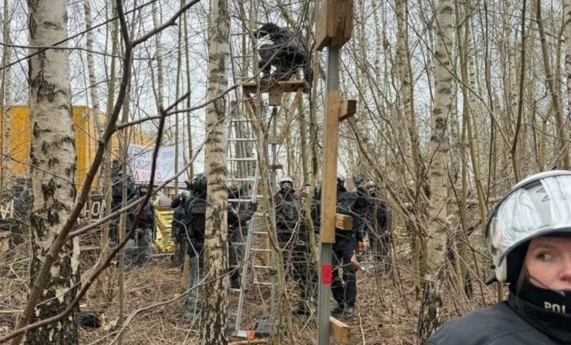 699dbe6962d3e995__w1200xh1600 (1) bbb