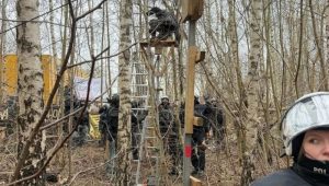 699dbe6962d3e995__w1200xh1600 (1) bbb