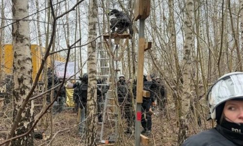 699dbe6962d3e995__w1200xh1600 (1) bbb