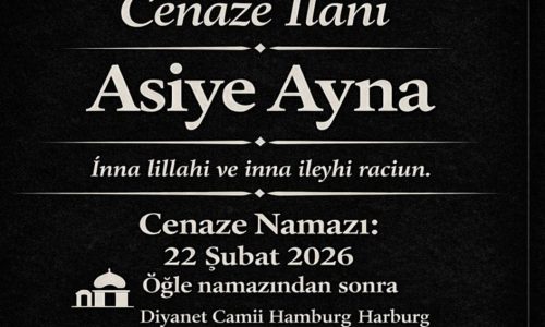 WhatsApp Image 2026-02-19 at 19.23.16 nn